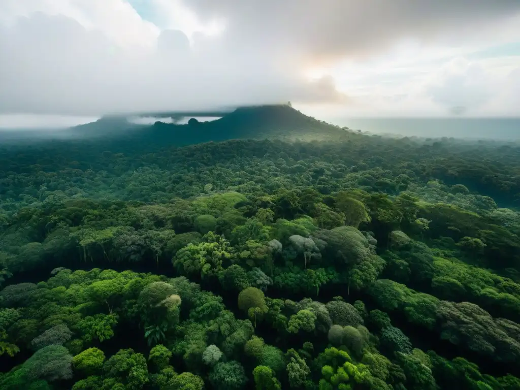 Esplendor verde: Amazonía desde las alturas Un manto verde de la exuberante Amazonía, con ríos plateados y biodiversidad única